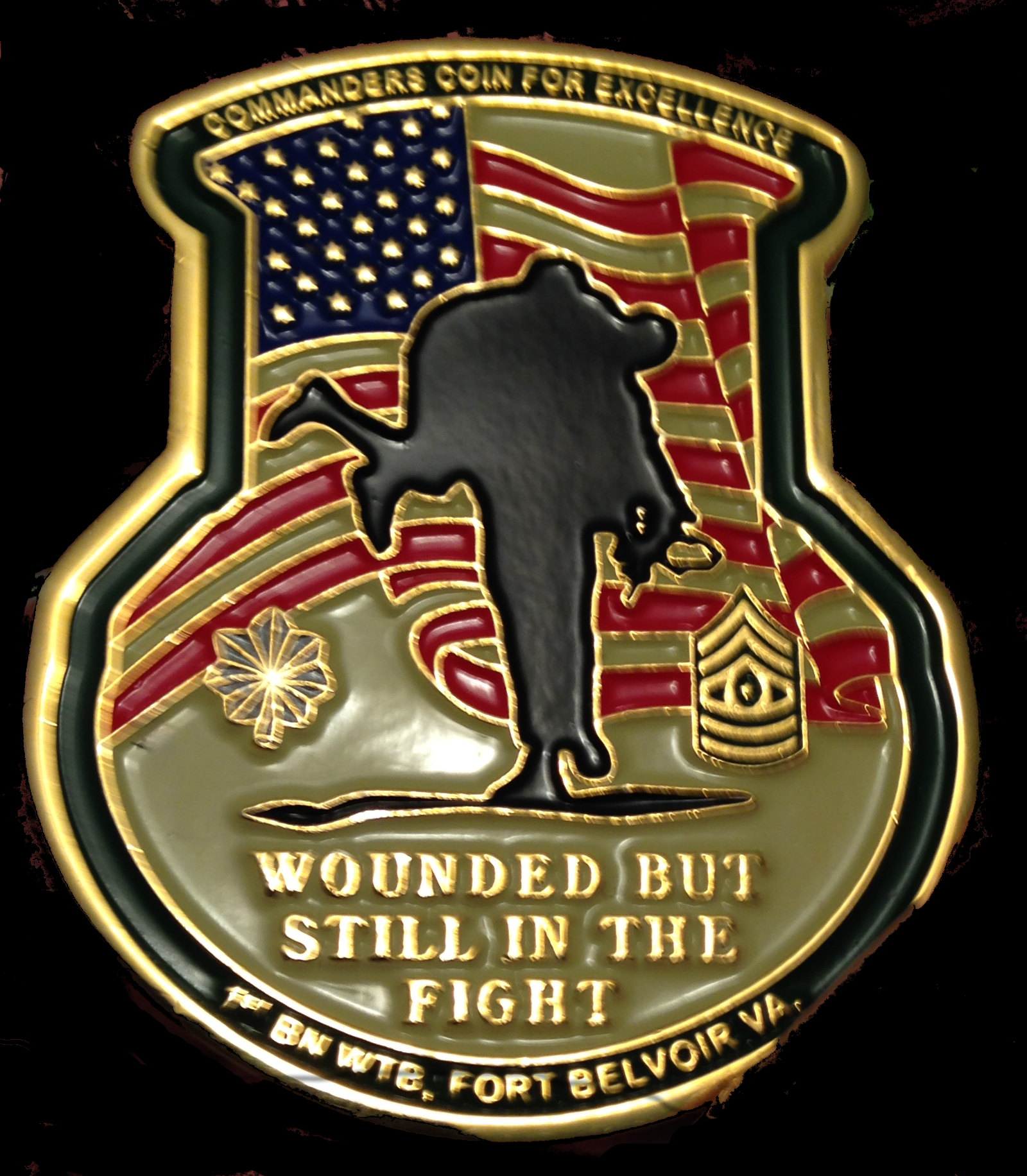 1st Warrior Transition Battalion Coin